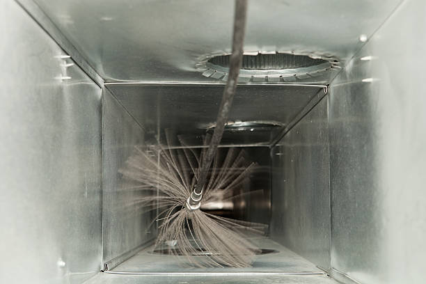 Best Professional Duct Cleaning Services  in Dolgeville, NY