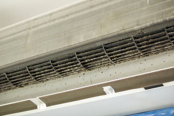 Best Ductwork Cleaning Services  in Dolgeville, NY